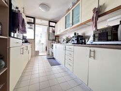 Tanglin Park (D10), Condominium #551239861